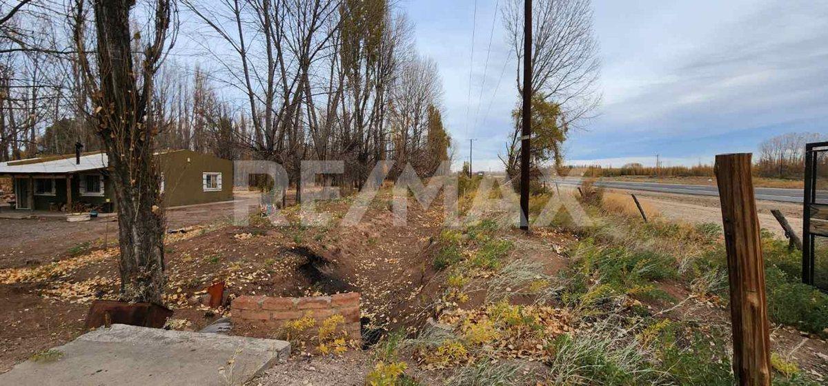 Foto de MACROLOTE CON CASA - FRENTE DE RUTA 22 - SENILLOSA, imagen 5