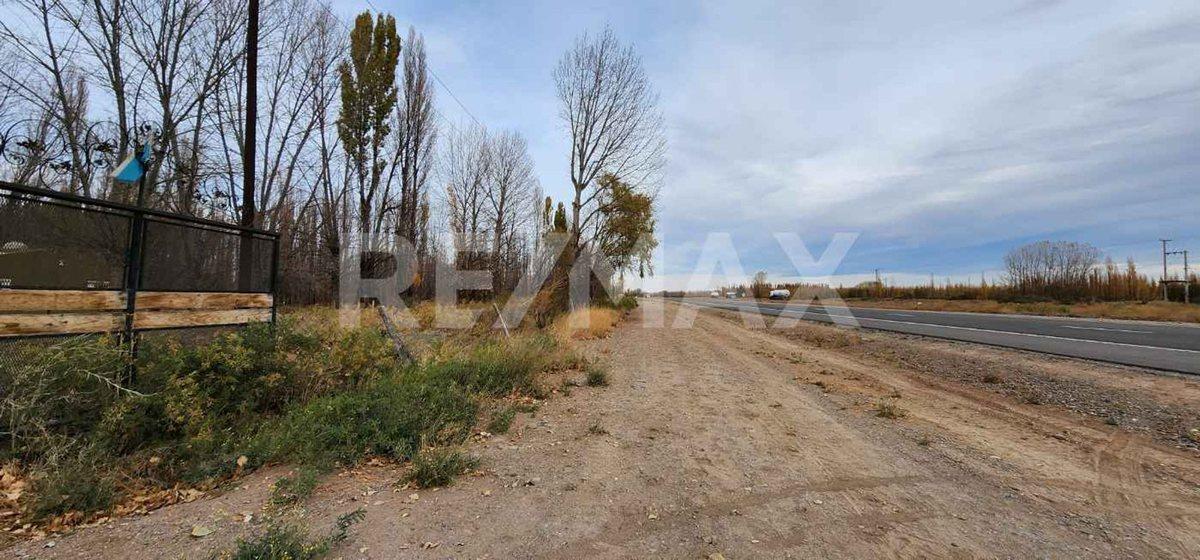 Foto de MACROLOTE CON CASA - FRENTE DE RUTA 22 - SENILLOSA, imagen 2