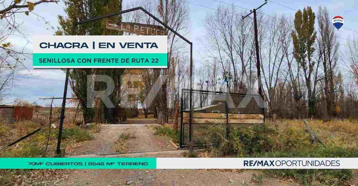Foto de MACROLOTE CON CASA - FRENTE DE RUTA 22 - SENILLOSA, imagen 4