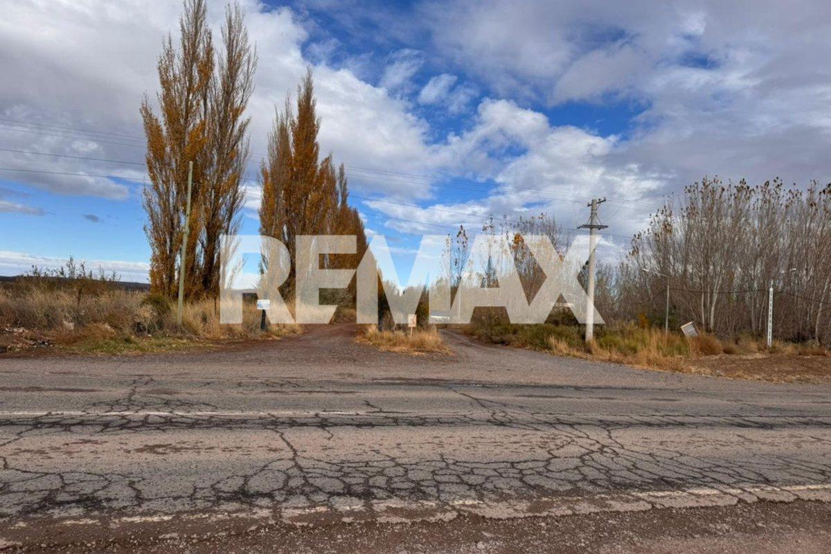 Foto de VENTA LOTE DE 1421 M2 UNIFICADO LA FORESTADA AÑELO, imagen 5
