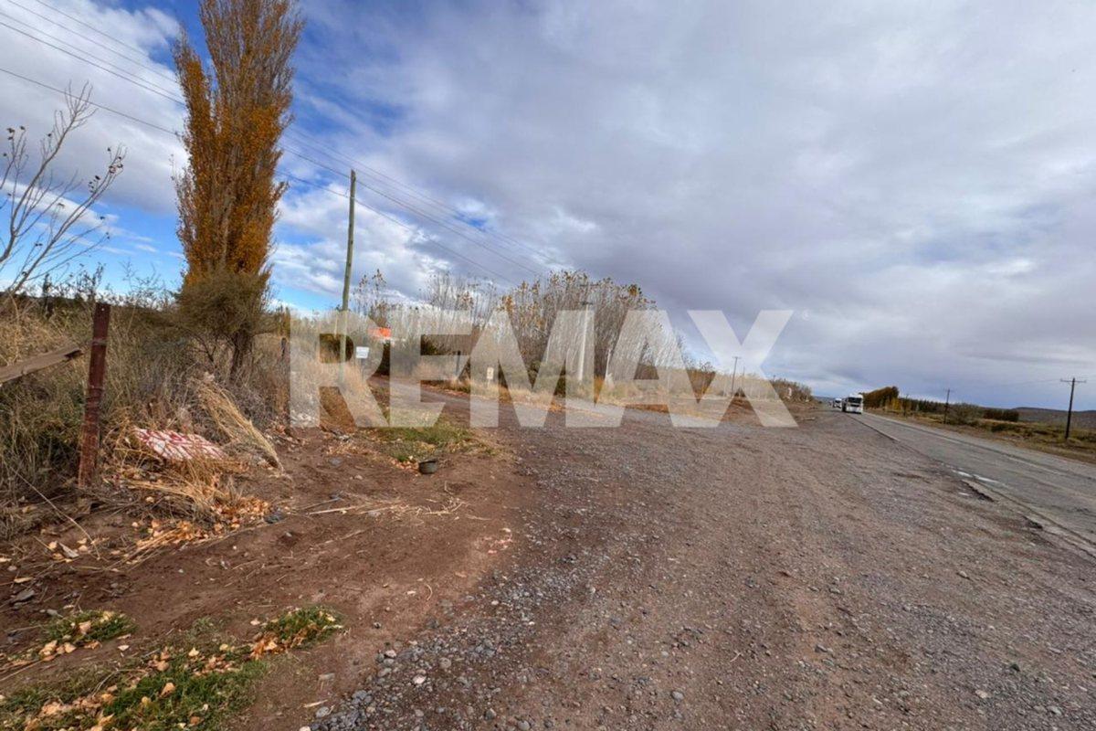 Foto de VENTA LOTE DE 1421 M2 UNIFICADO LA FORESTADA AÑELO, imagen 3