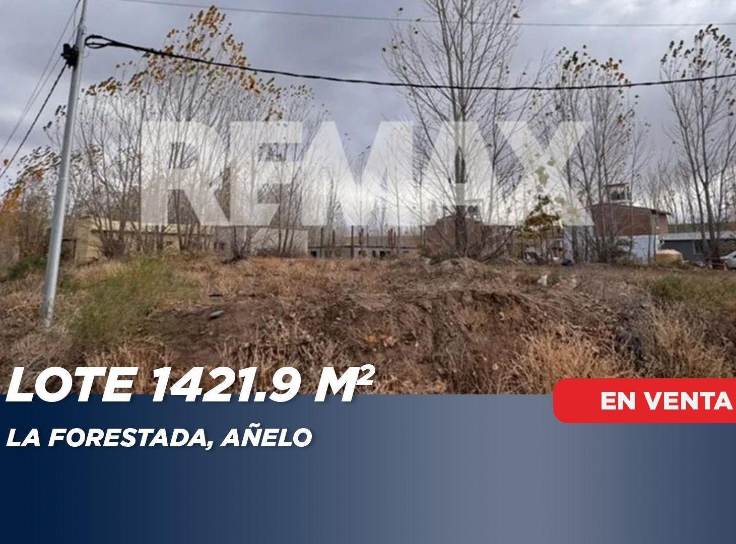 Foto de VENTA LOTE DE 1421 M2 UNIFICADO LA FORESTADA AÑELO, imagen 4