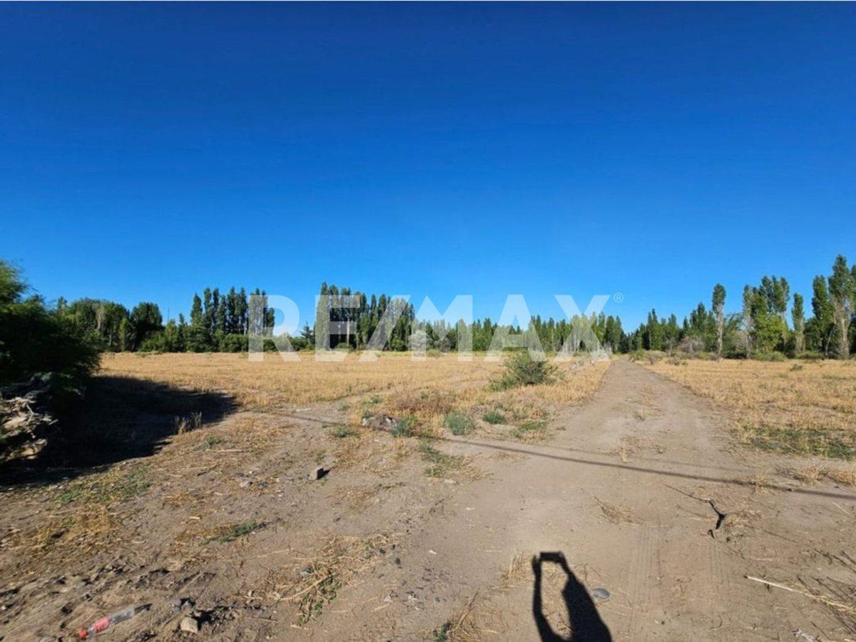 Foto de Terreno 250 m2 venta - Confluencia Rural Neuquén, imagen 3