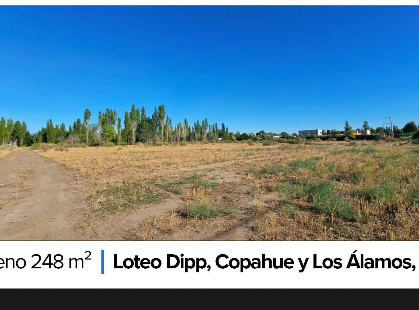 Foto de Terreno 250 m2 venta - Confluencia Rural Neuquén, imagen 2