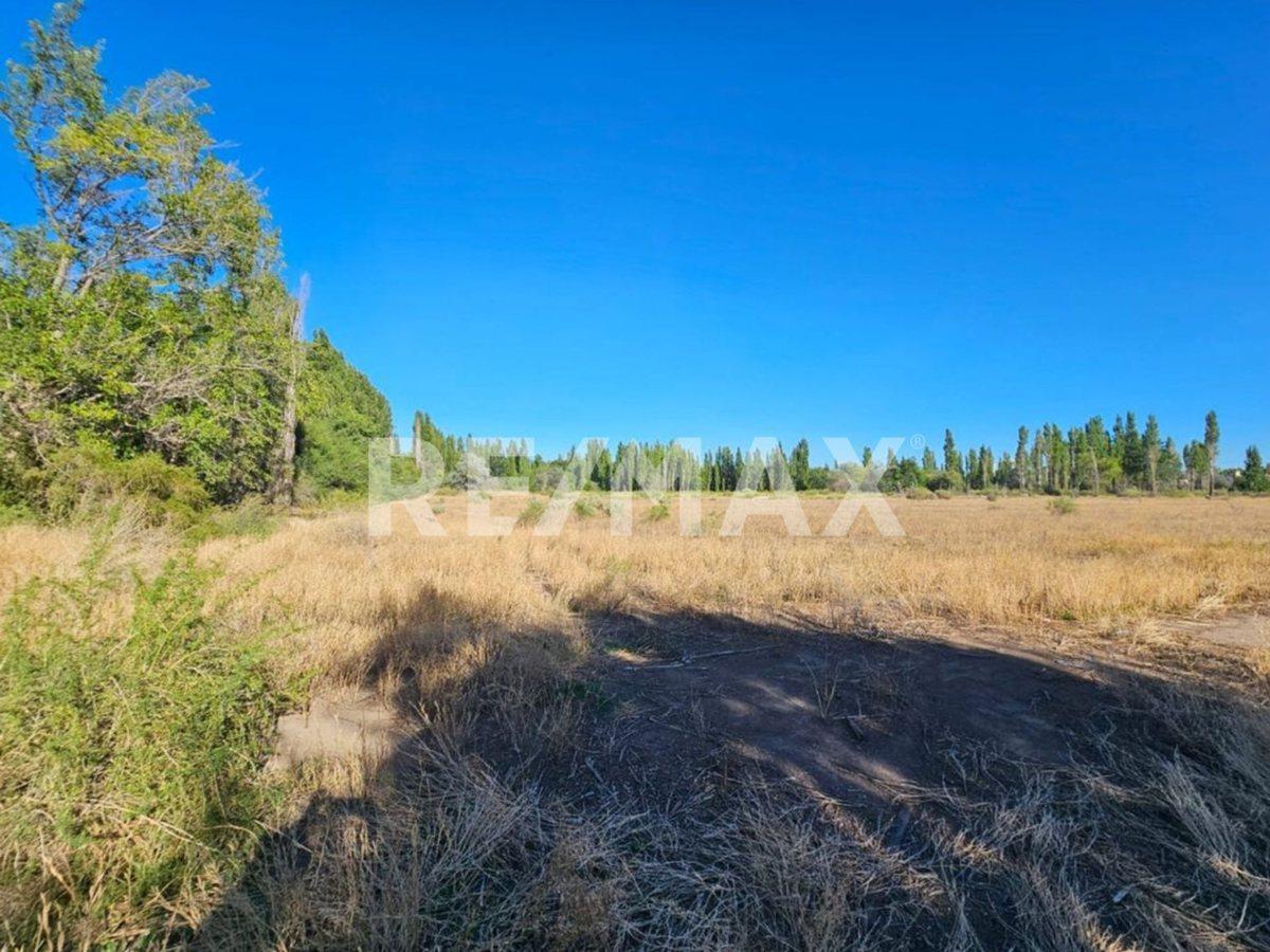 Foto de Terreno 250 m2 venta - Confluencia Rural Neuquén, imagen 1