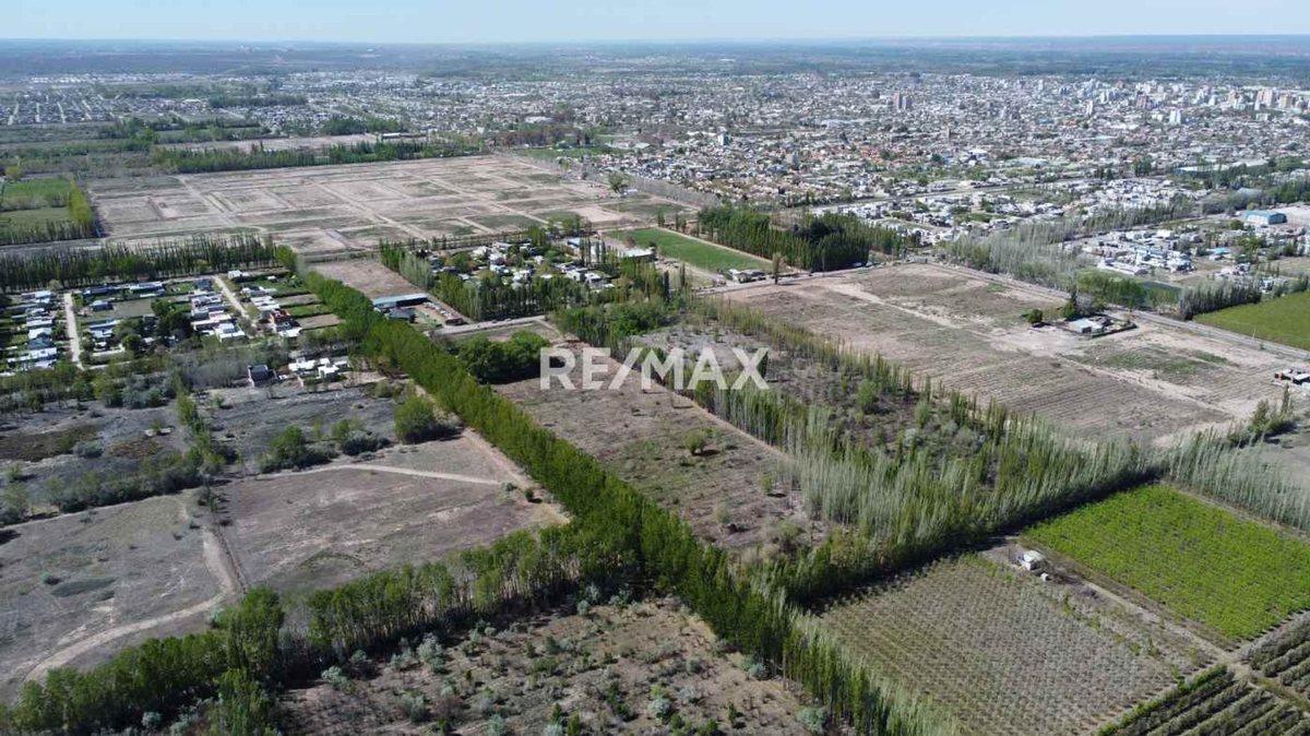 Foto de VENTA LOTES- Bª LOS CARDALES | CIPOLLETTI, imagen 2