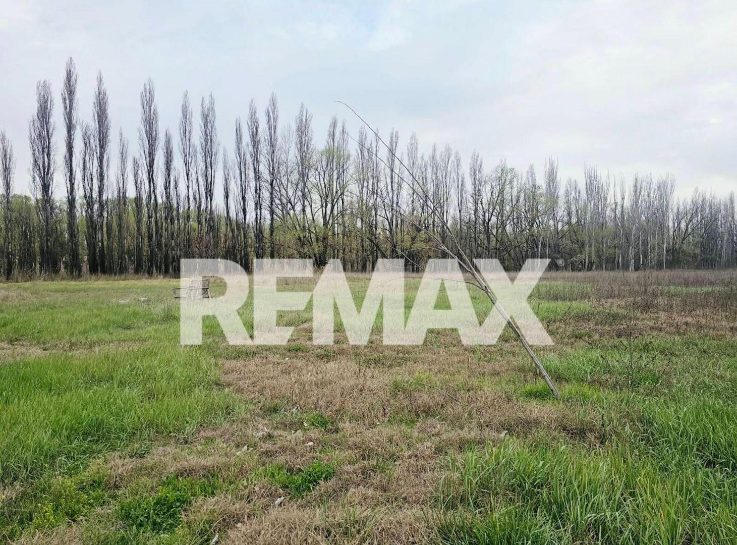 Foto de Chacra en Venta en Cinco Saltos. Río Negro, imagen 3