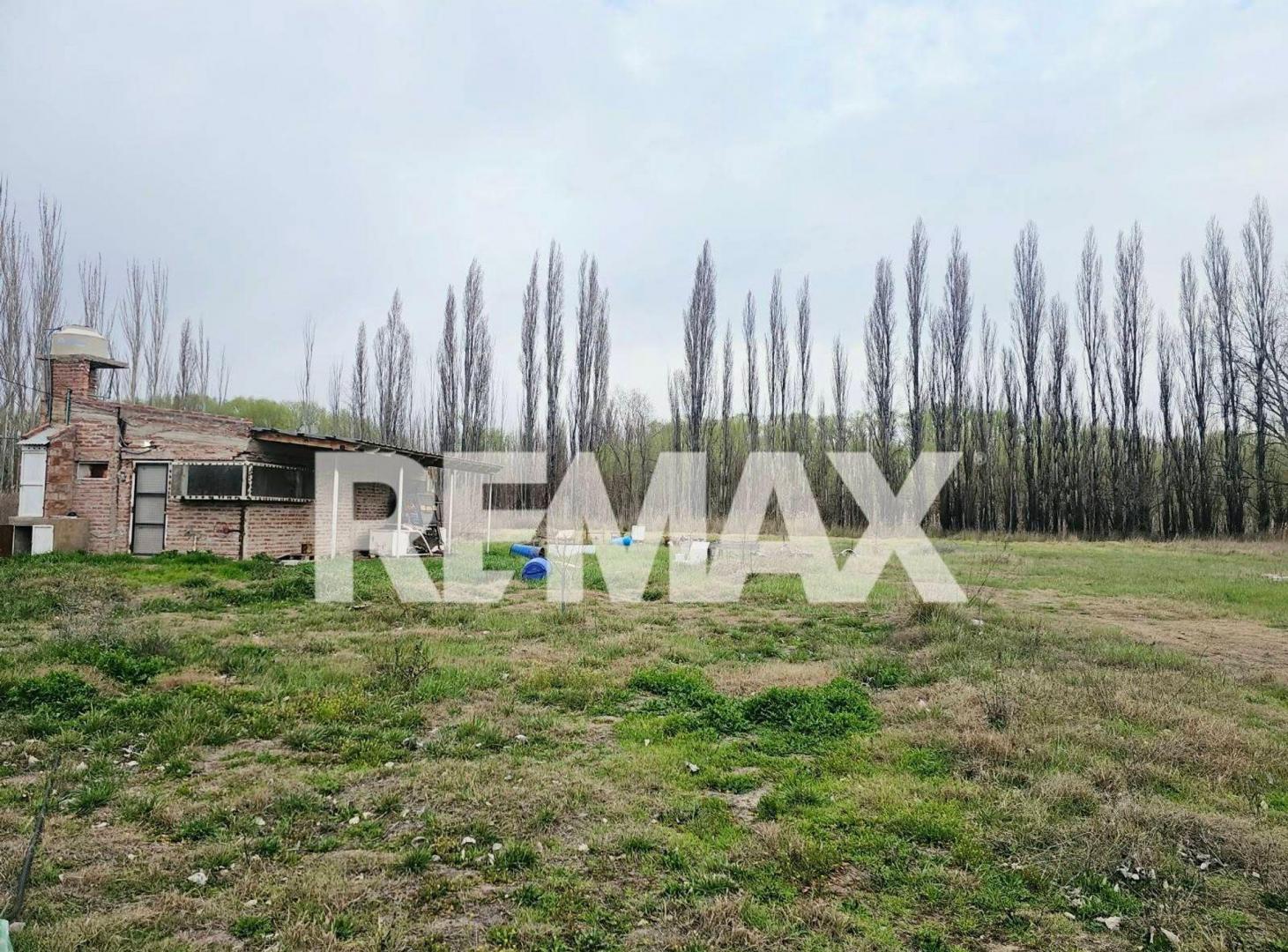 Foto de Chacra en Venta en Cinco Saltos. Río Negro, imagen 2