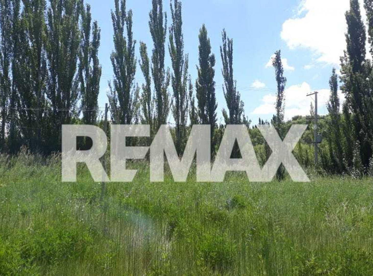 Foto de Chacra en Venta en Cinco Saltos. Río Negro, imagen 1