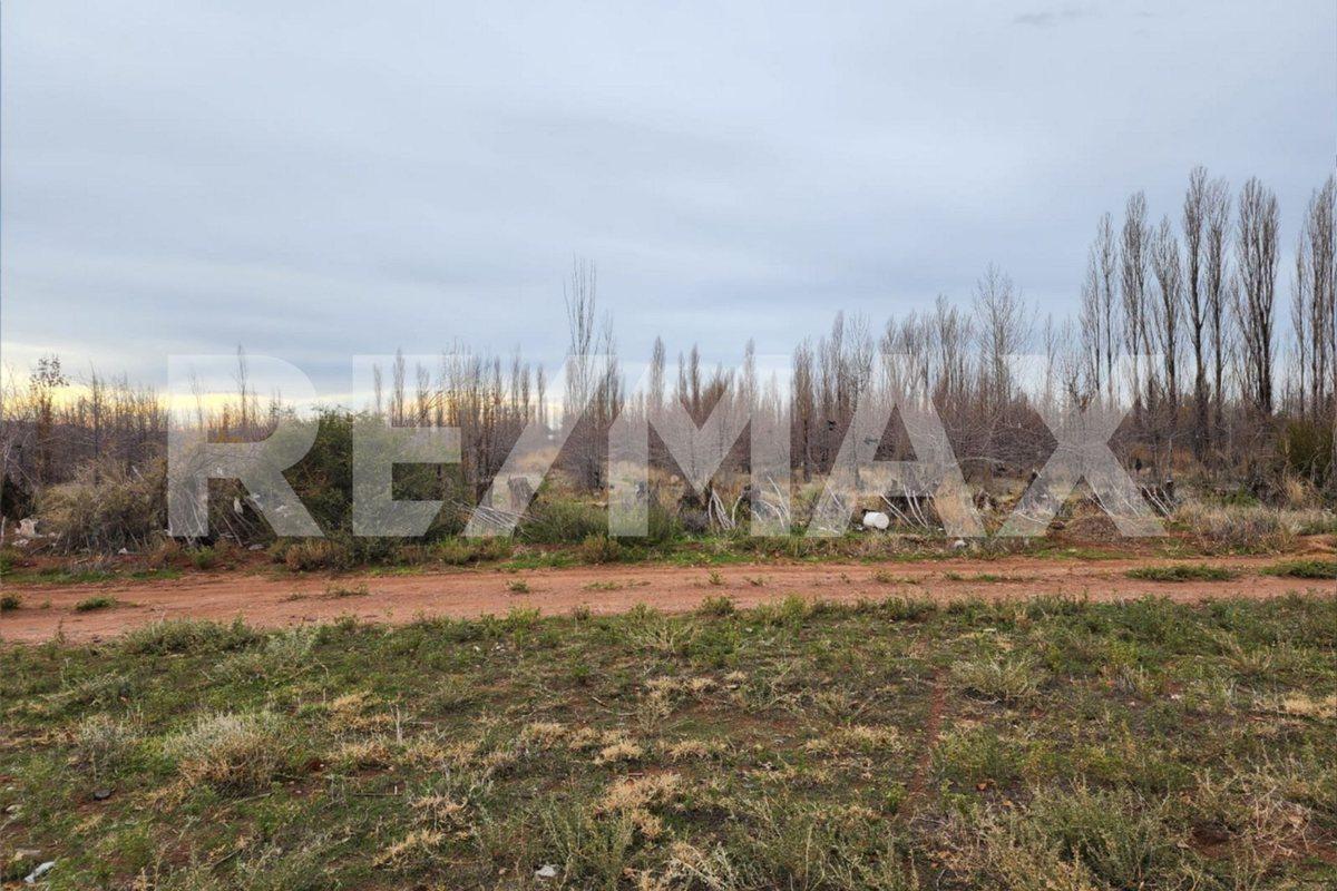 Foto de TERRENO EN DON LUKACS, imagen 2