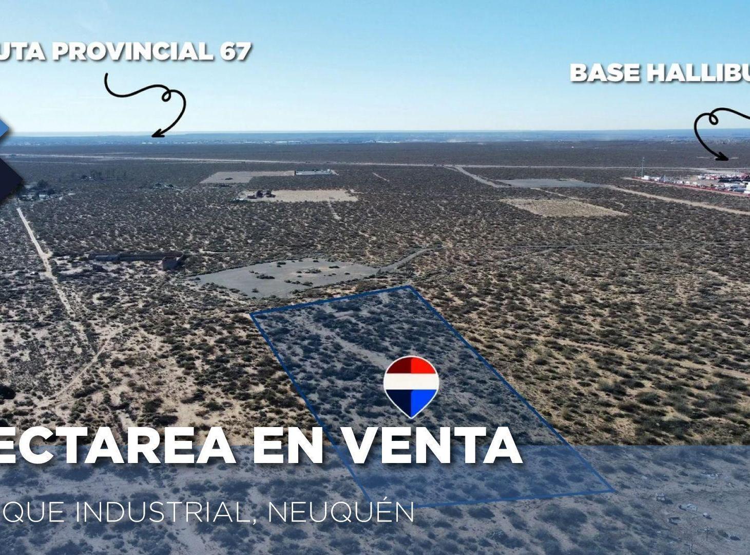 Foto de VENTA DE 1 HECTAREA EN PARQUE INDUSTRIAL -NEUQUEN, imagen 2