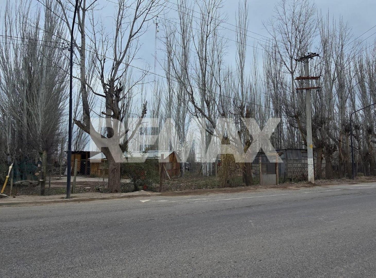 Foto de CHACRA 24.800 M2 EN CIRCUNVALACIÓN Y SAN LUIS, imagen 3