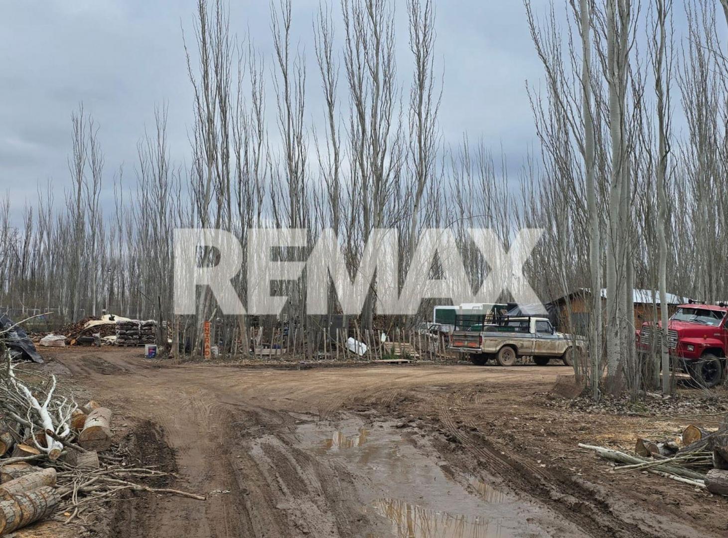 Foto de CHACRA 24.800 M2 EN CIRCUNVALACIÓN Y SAN LUIS, imagen 4