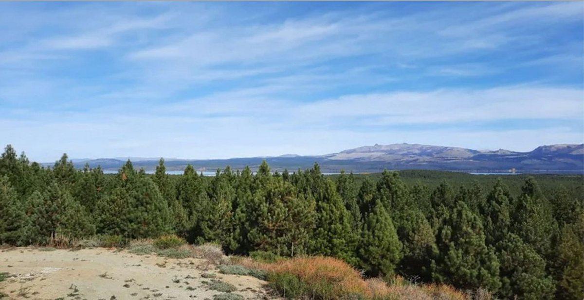 Foto de Terreno en venta Altos de Pehuenia, imagen 4