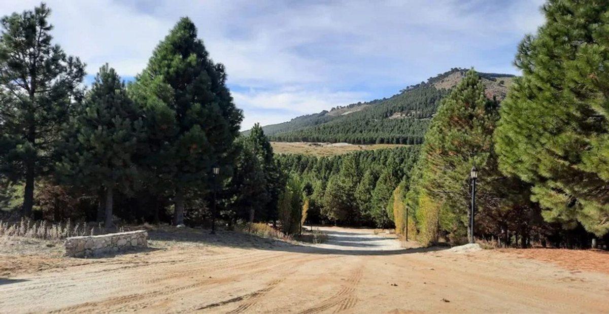Foto de Terreno en venta Altos de Pehuenia, imagen 5