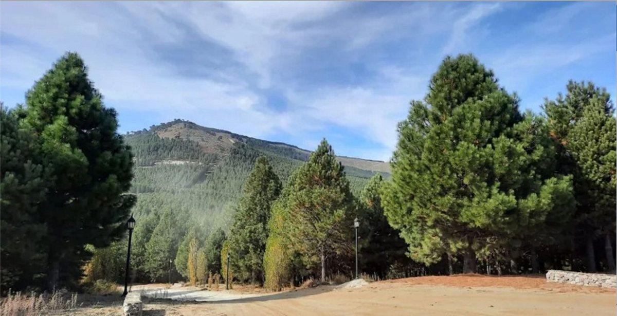 Terreno en venta Altos de Pehuenia