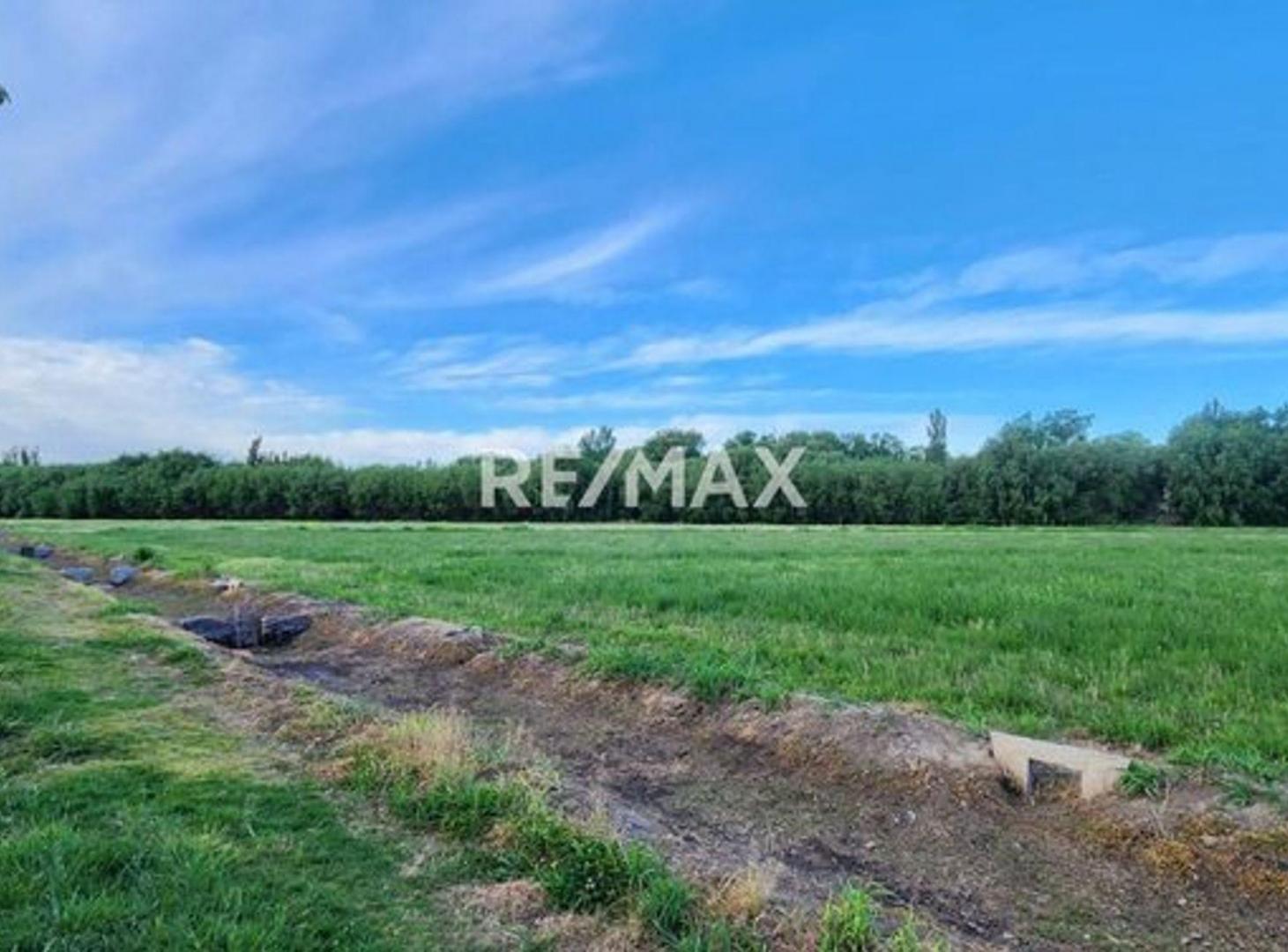 Foto de CHACRA EN VENTA DE 5 HA, SERVICIOS., imagen 2