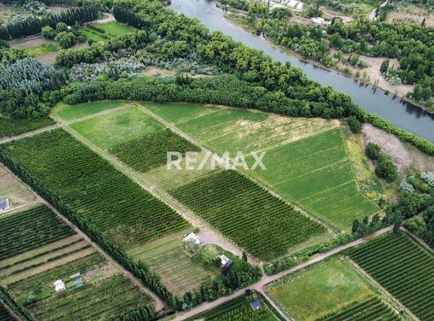 Foto de CHACRA EN VENTA DE 5 HA, SERVICIOS., imagen 5