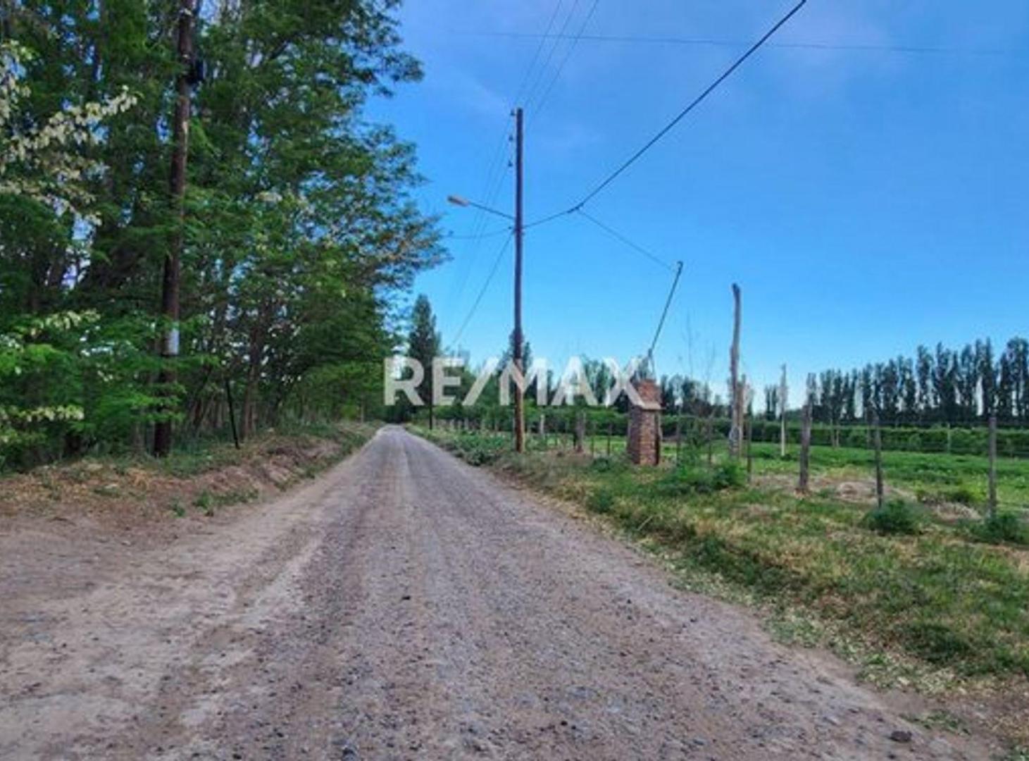 Foto de CHACRA EN VENTA DE 5 HA, SERVICIOS., imagen 1