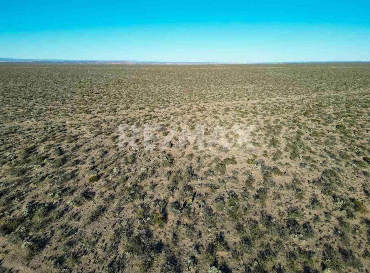Foto de VENTA 1 HECTAREA EN RUTA 67 DEL PETRÓLEO, imagen 3