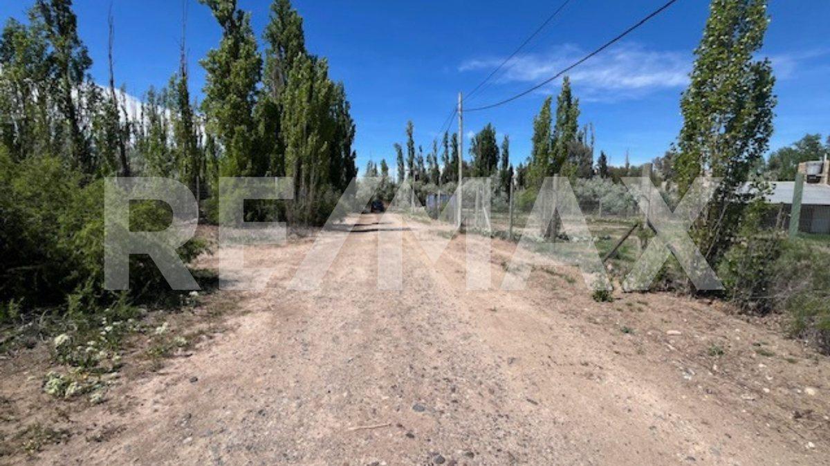 Foto de TERRENO EN VENTA 800 MTS LOTEO SABIO CENTENARIO, imagen 4