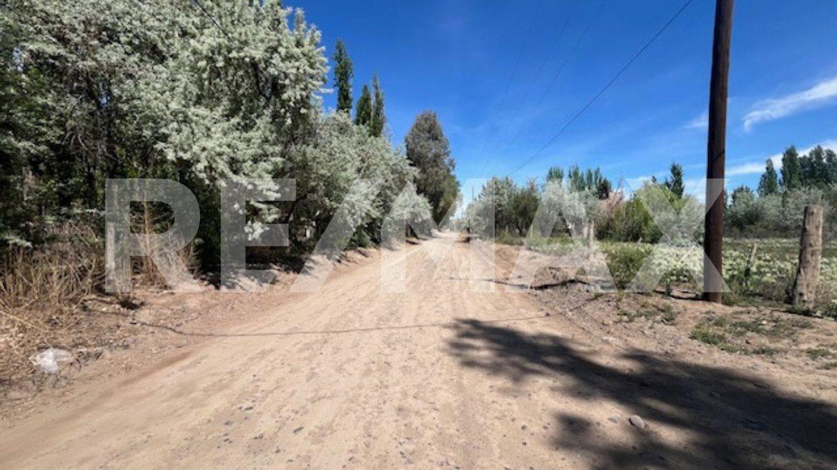 Foto de TERRENO EN VENTA 800 MTS LOTEO SABIO CENTENARIO, imagen 5
