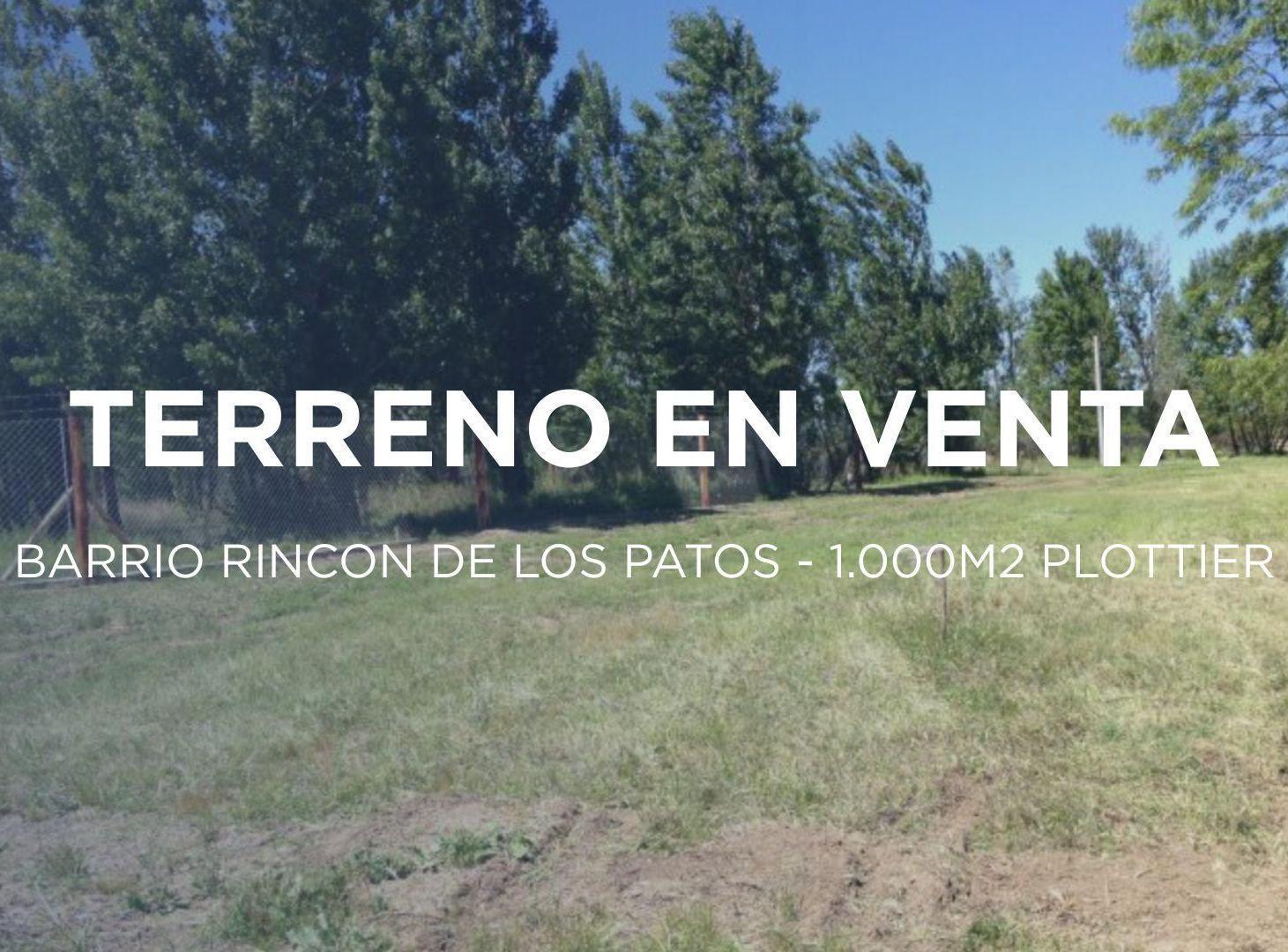 Foto de TERRENO EN VENTA EN RINCÓN DE LOS PATOS PLOTTIER, imagen 1