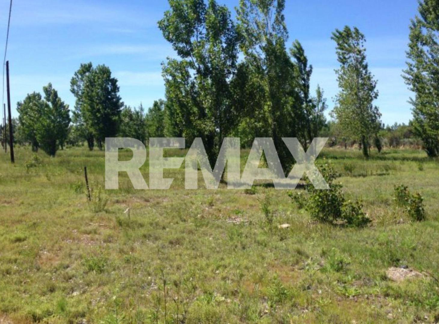Foto de TERRENO EN VENTA EN RINCÓN DE LOS PATOS PLOTTIER, imagen 4