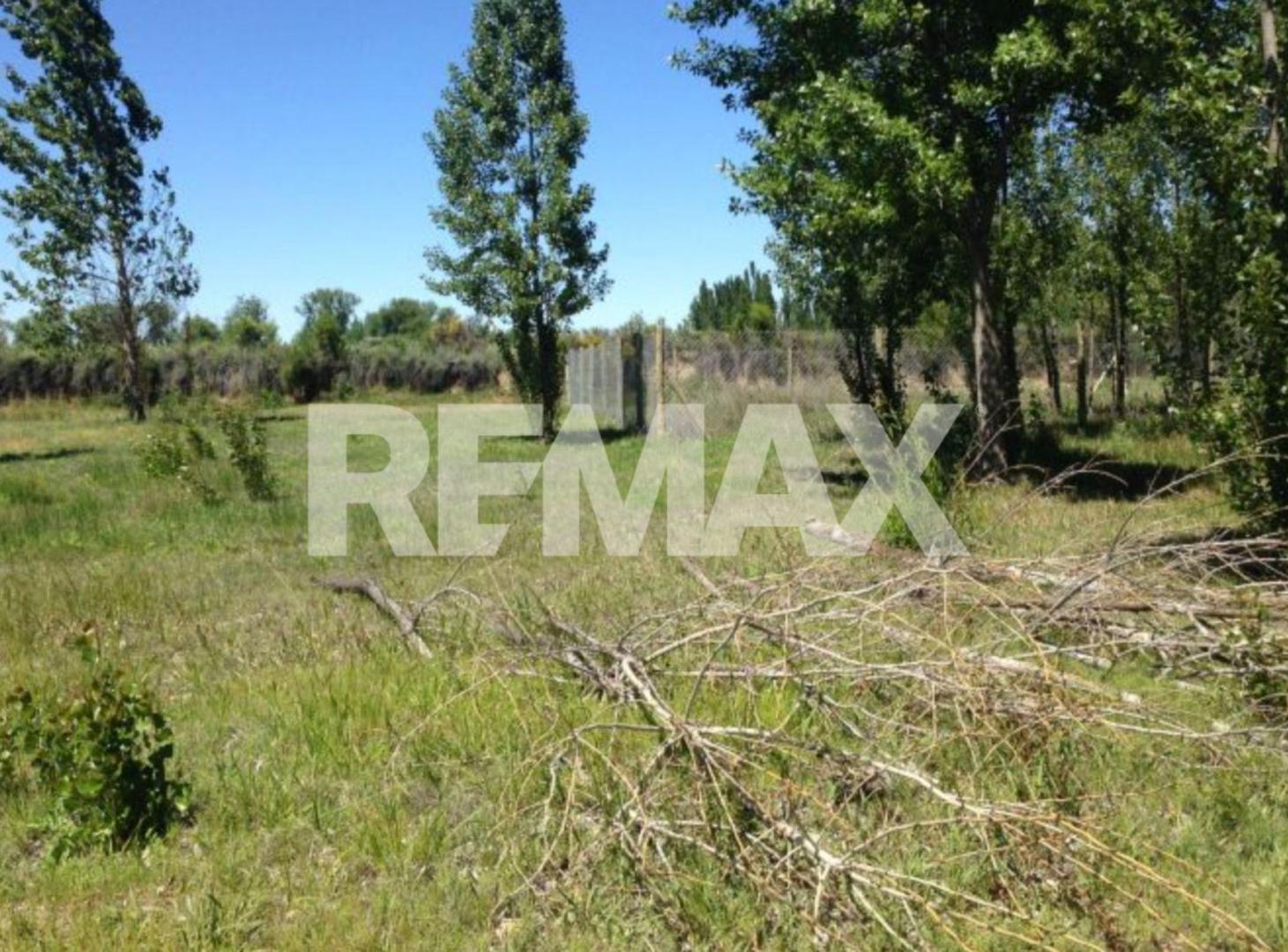 Foto de TERRENO EN VENTA EN RINCÓN DE LOS PATOS PLOTTIER, imagen 3