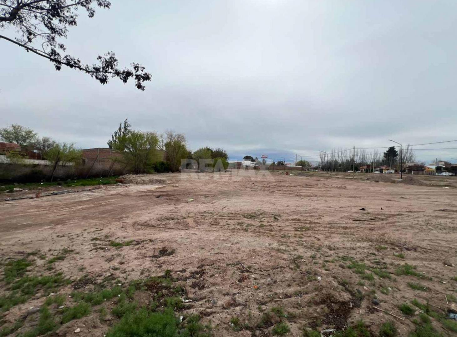 Foto de TERRENO EN VENTA LOTEO REMANSO PAIMÚN, imagen 4