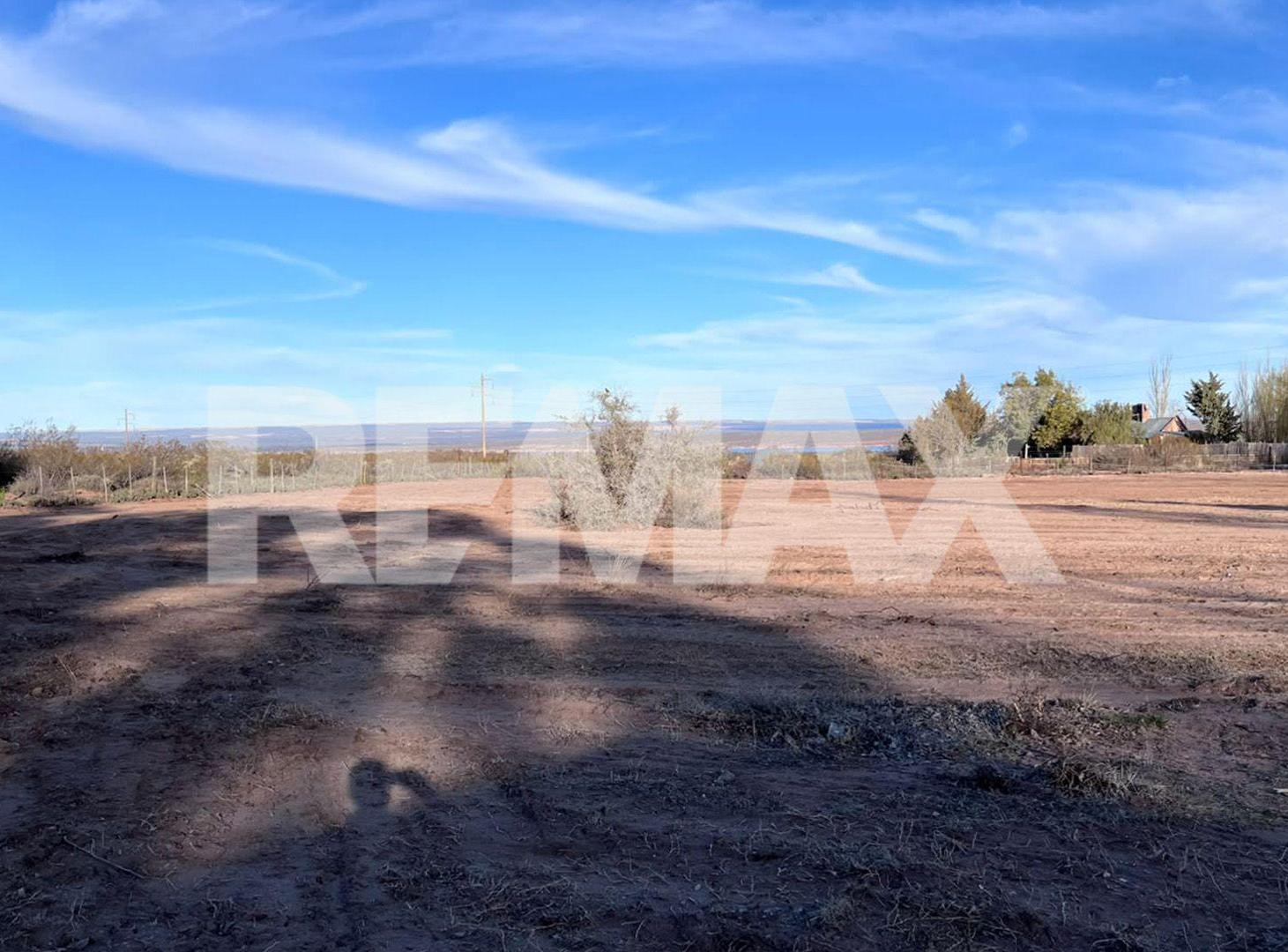 Foto de CABAÑAS EN VENTA EN TERRENO CON HECTAREA Y MEDIA, imagen 5