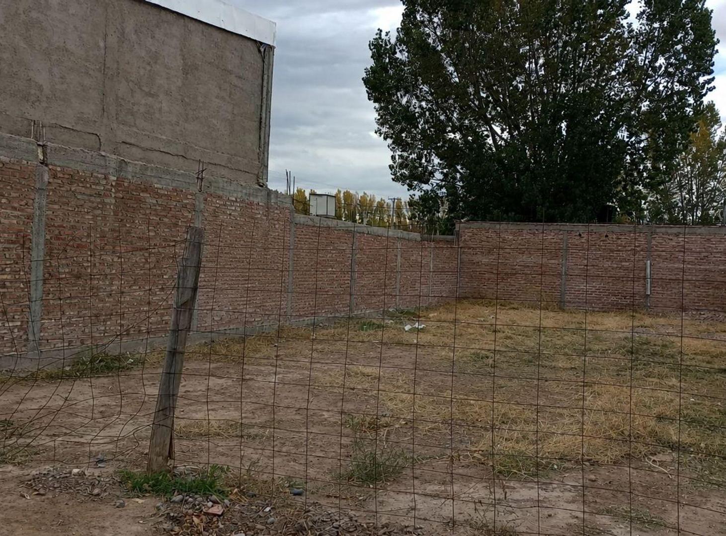 Foto de VENTA TERRENO EN SAN PATRICIO DEL CHAÑAR, imagen 2