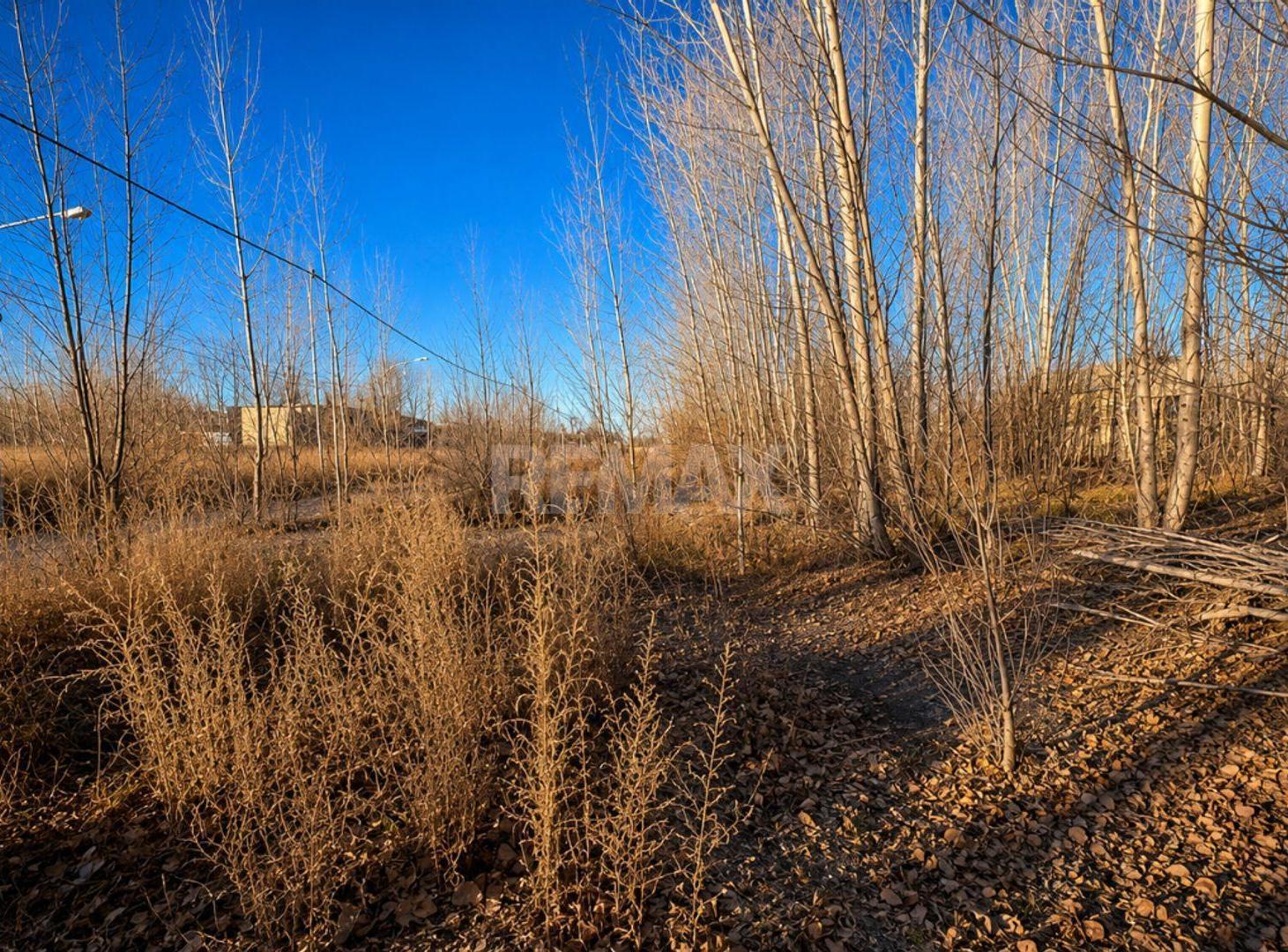 Foto de Terreno en venta La Forestada, Añelo, imagen 5
