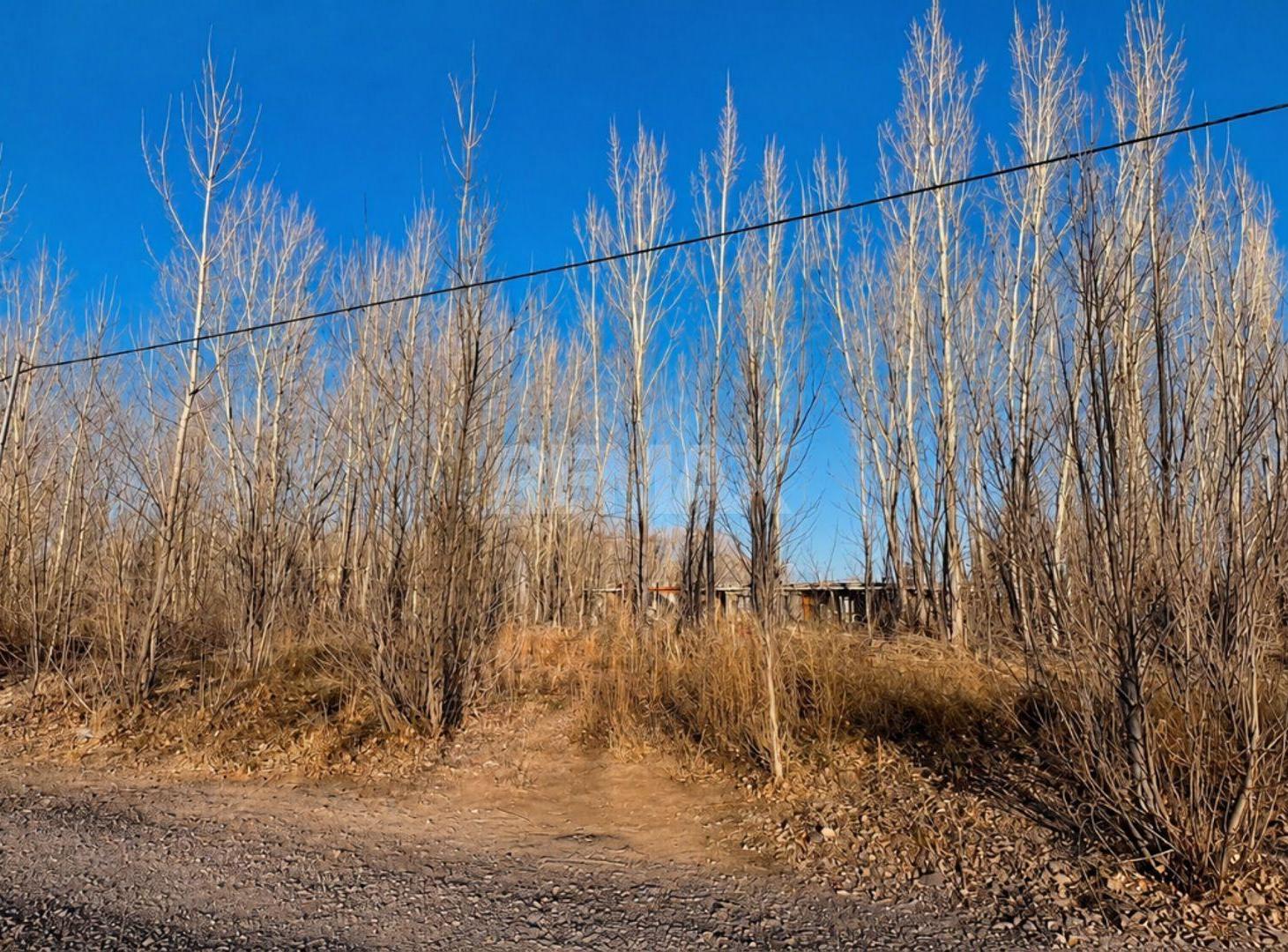 Foto de Terreno en venta La Forestada, Añelo, imagen 3