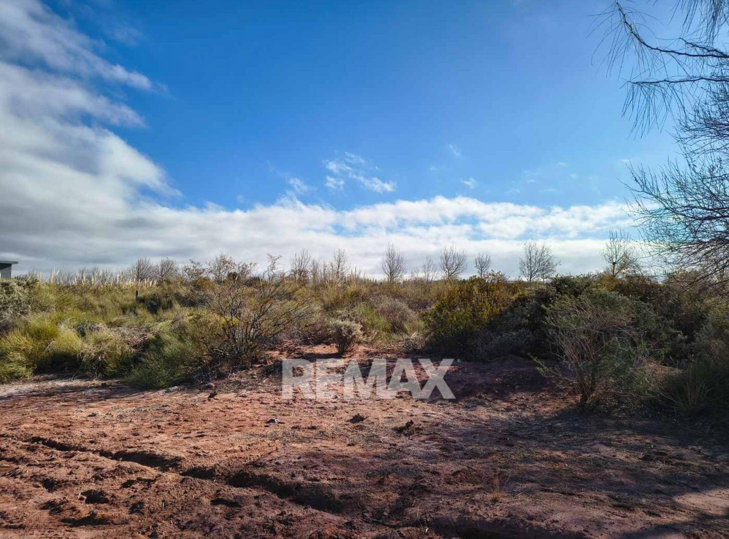 Foto de Venta Terreno Lago Mari Menuco, La Peninsula, imagen 4