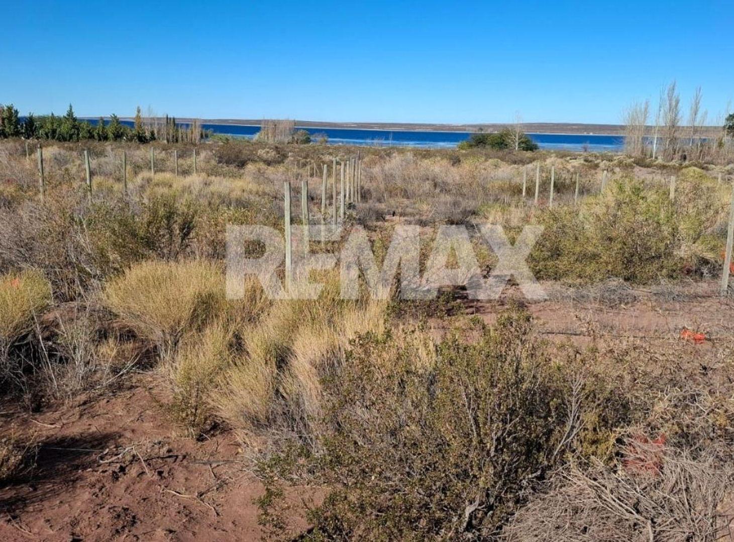 Foto de Lote en La Península. Lago Mari Menuco, imagen 2