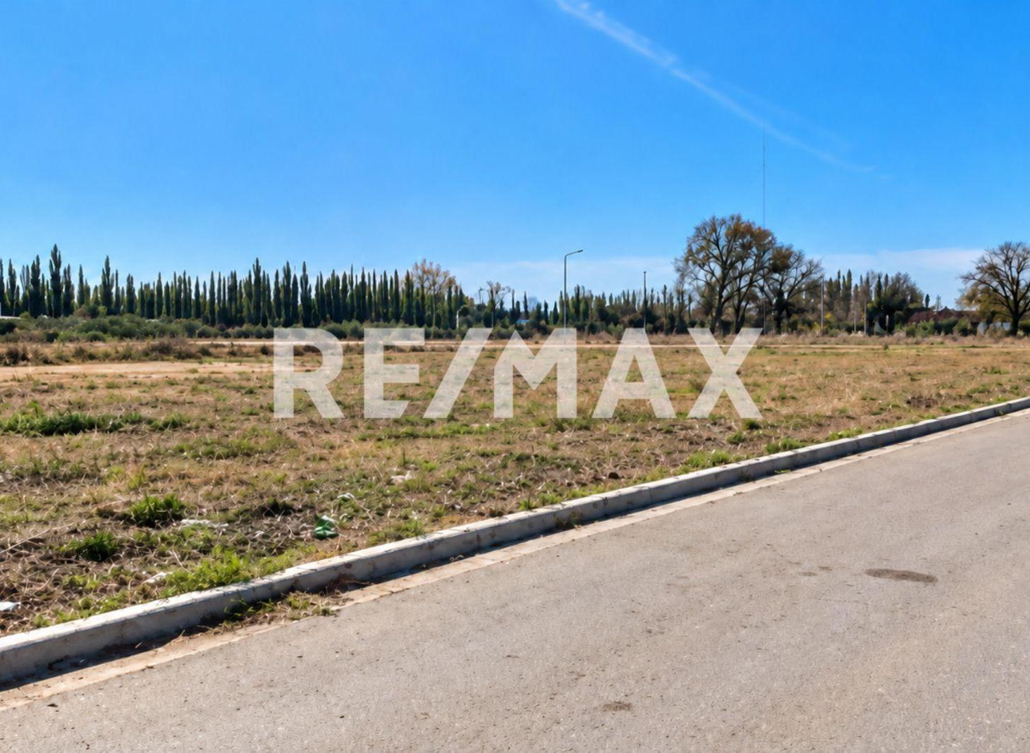 Foto de VENTA LOTE MIRASUR, imagen 4
