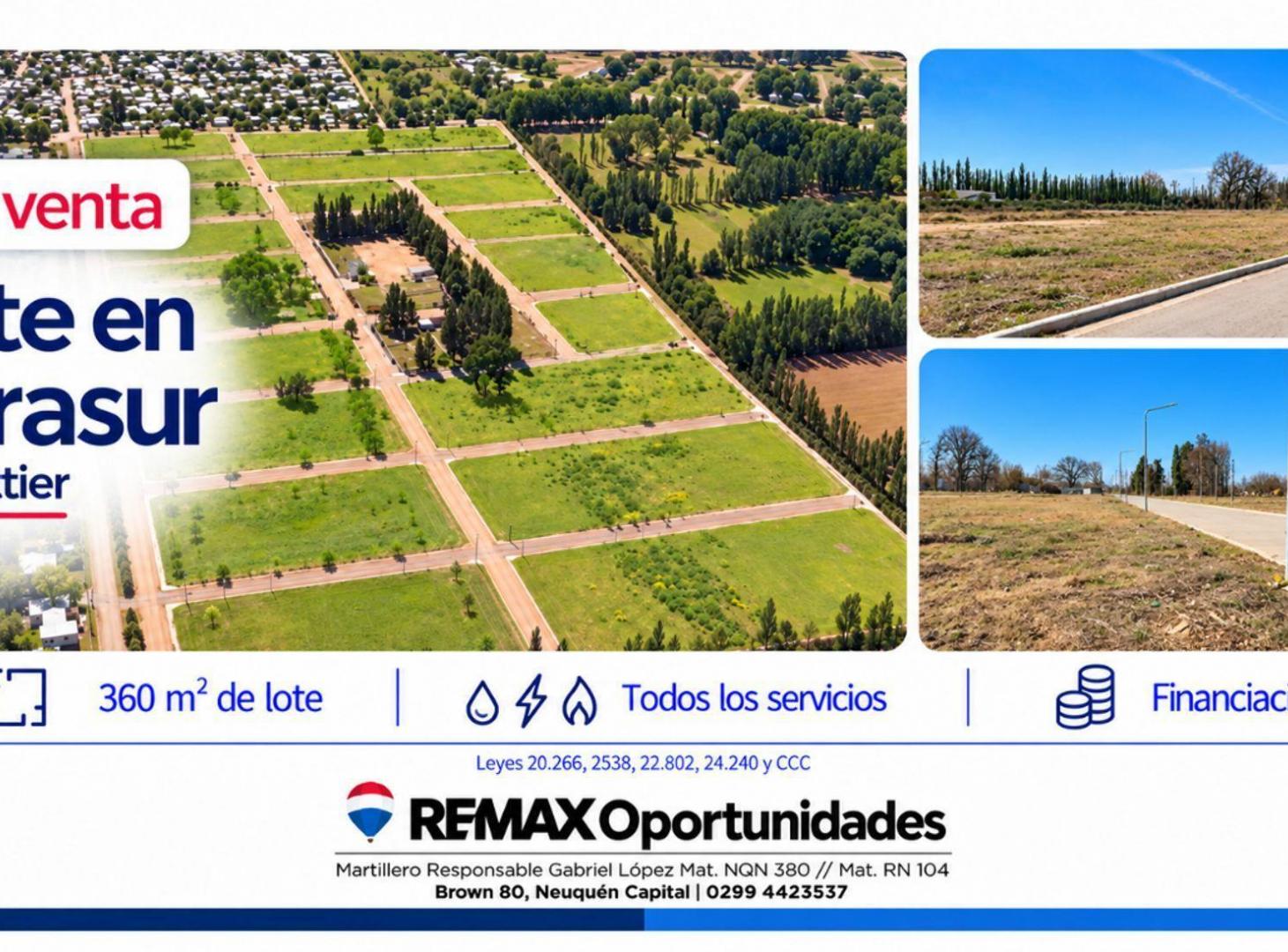 Foto de VENTA LOTE MIRASUR, imagen 3