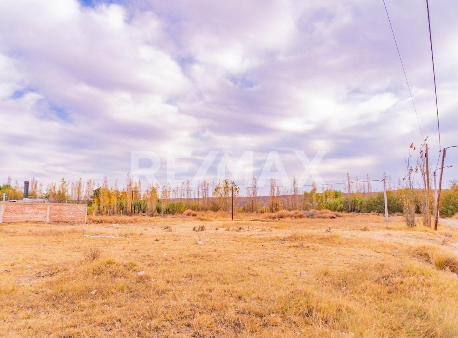Foto de VENTA - TERRENO 330 m2 - B° BELLA VISTA, PLOTTIER, imagen 2
