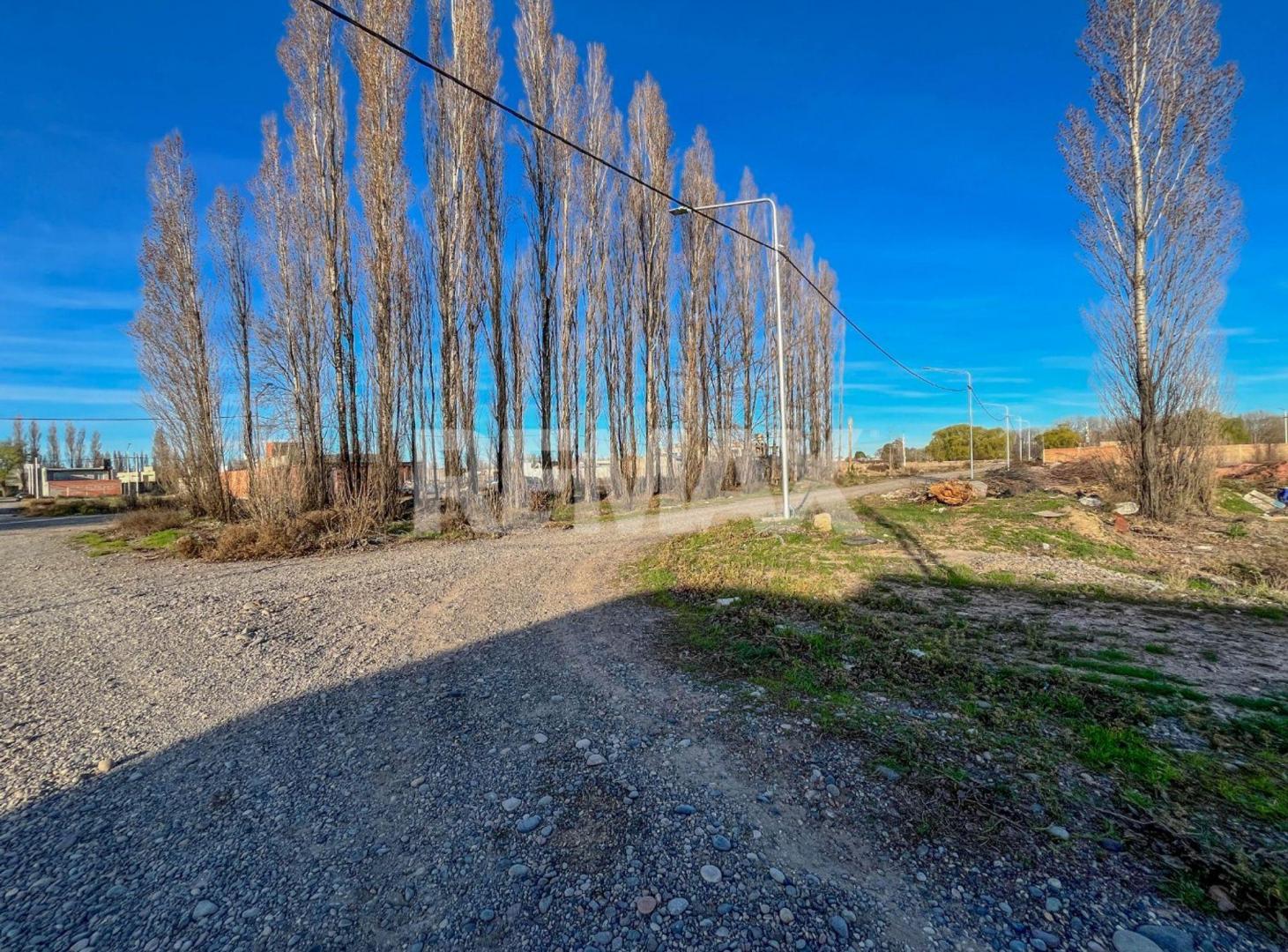 Foto de Terreno en VENTA! B. Los Álamos, Neuquén, imagen 4