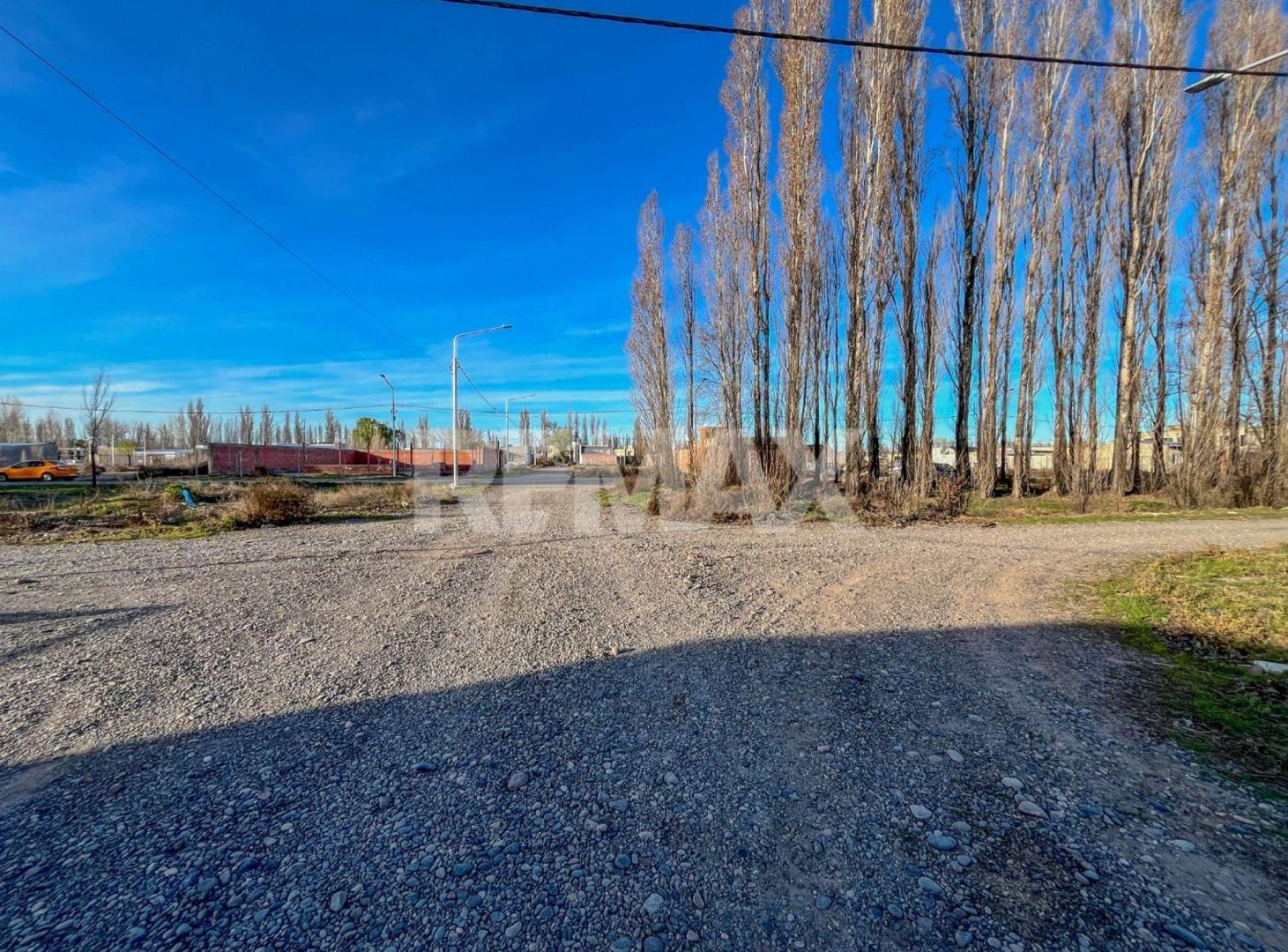 Foto de Terreno en VENTA! B. Los Álamos, Neuquén, imagen 3