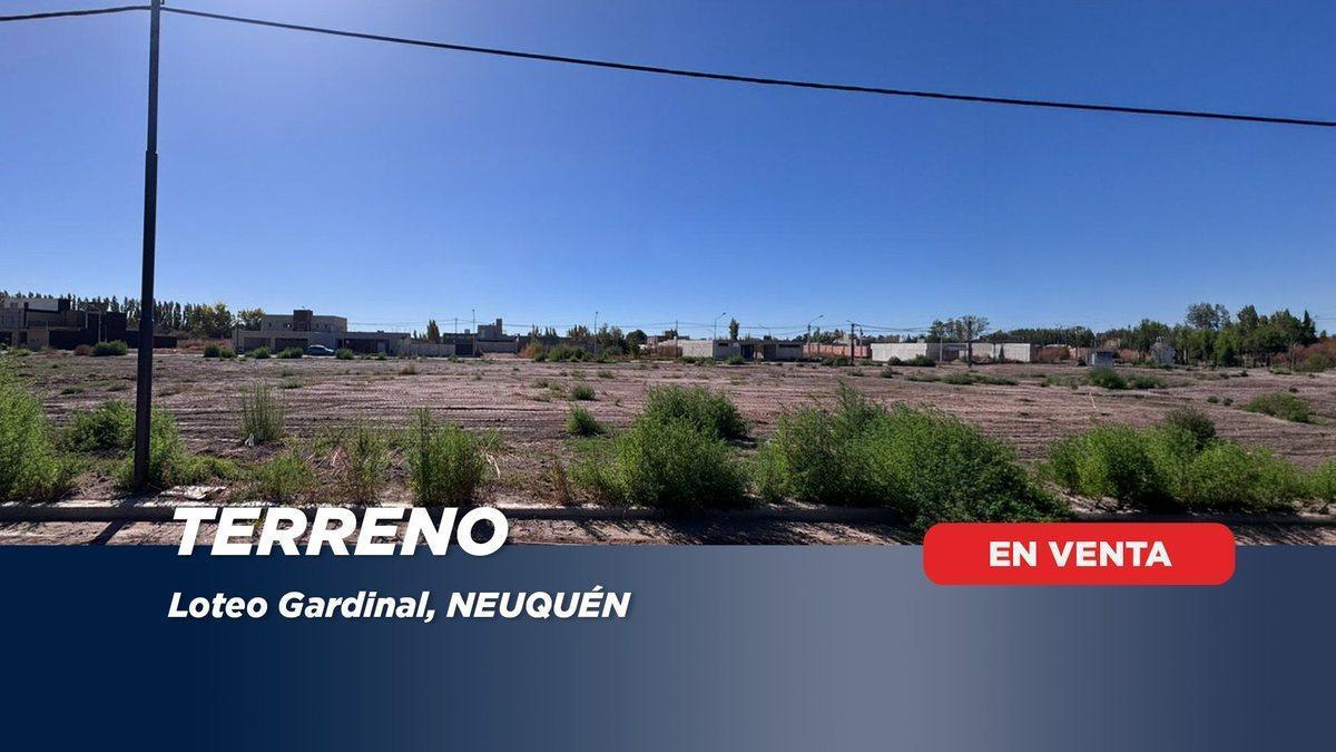 Foto de LOTE EN VENTA EN CONFLUENCIA URBANA. 256MTS., imagen 1