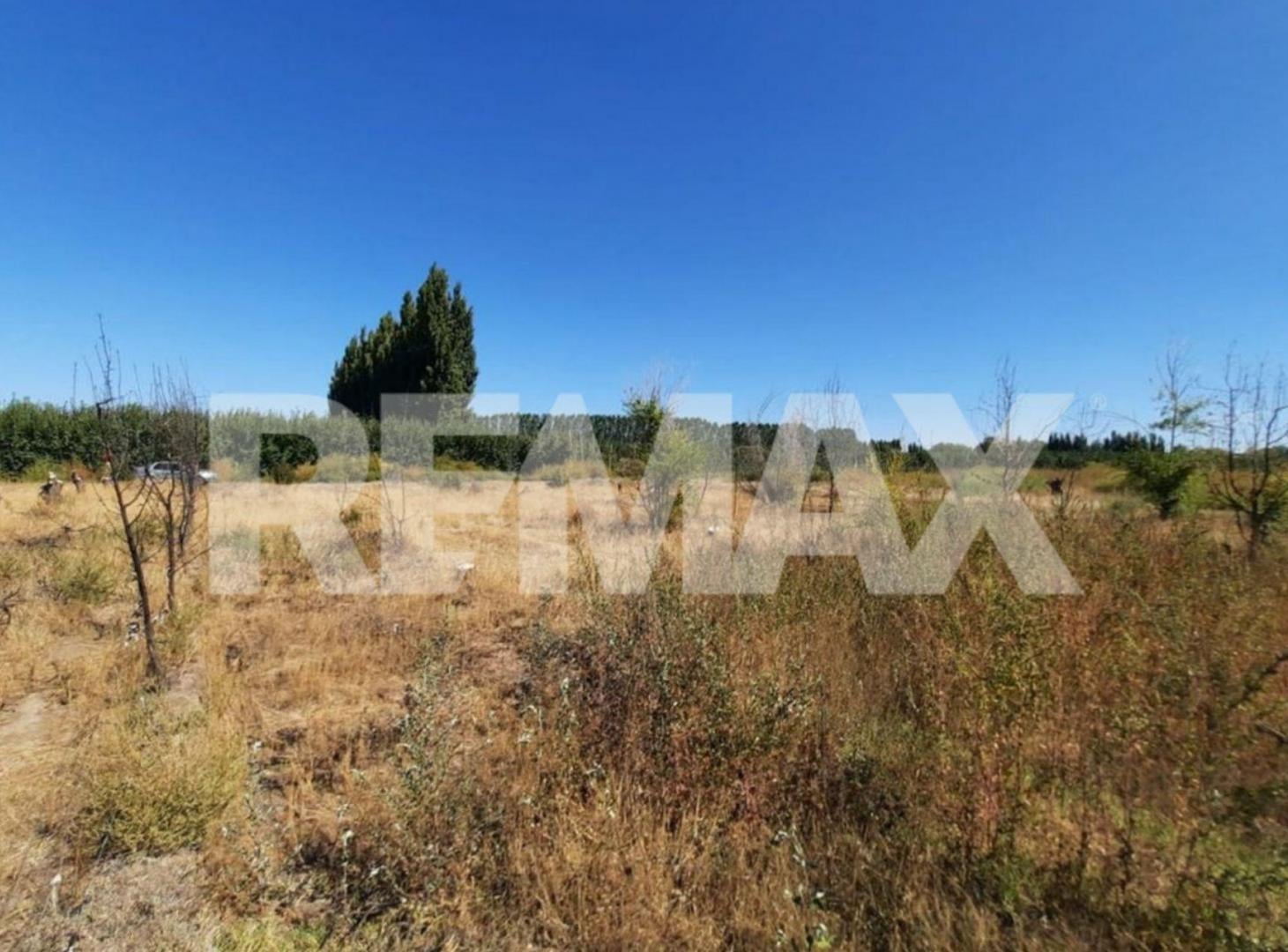 Foto de VENTA DE PARCELA EN CHACRA 63 ALLEN, RÍO NEGRO, imagen 5