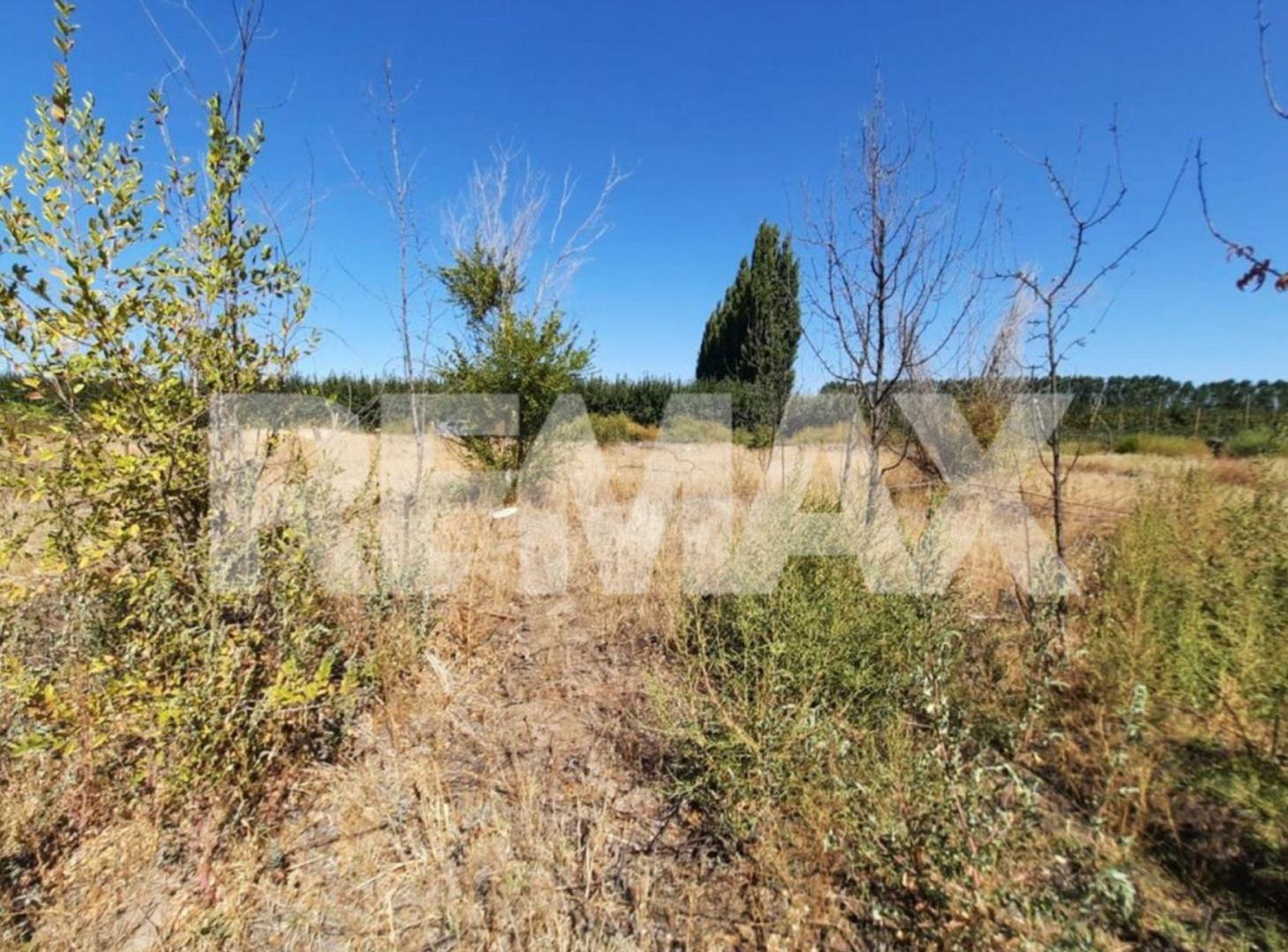 Foto de VENTA DE PARCELA EN CHACRA 63 ALLEN, RÍO NEGRO, imagen 4