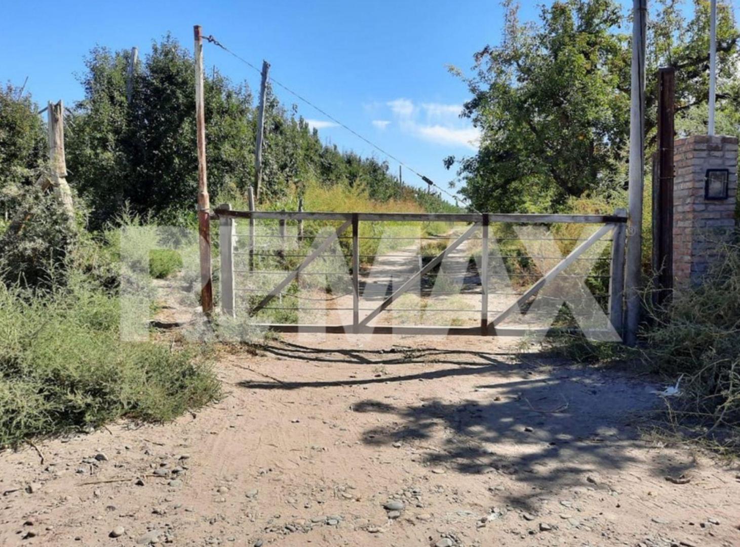 VENTA DE PARCELA EN CHACRA 63 ALLEN, RÍO NEGRO