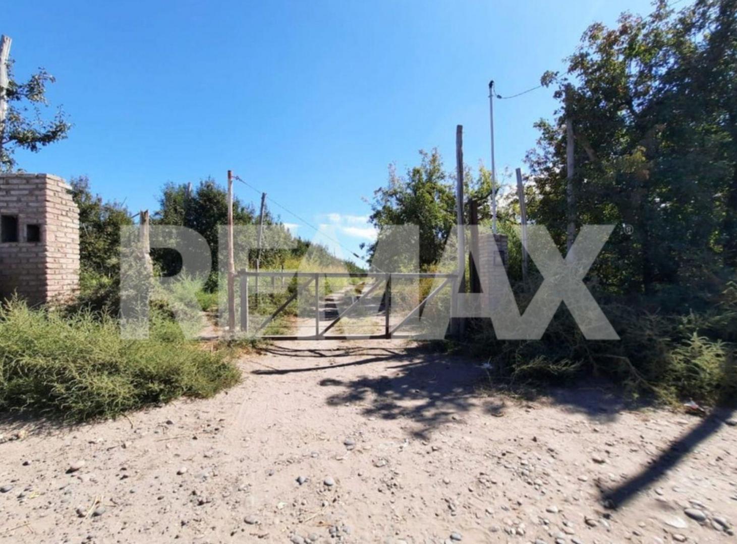 Foto de VENTA DE PARCELA EN CHACRA 63 ALLEN, RÍO NEGRO, imagen 3