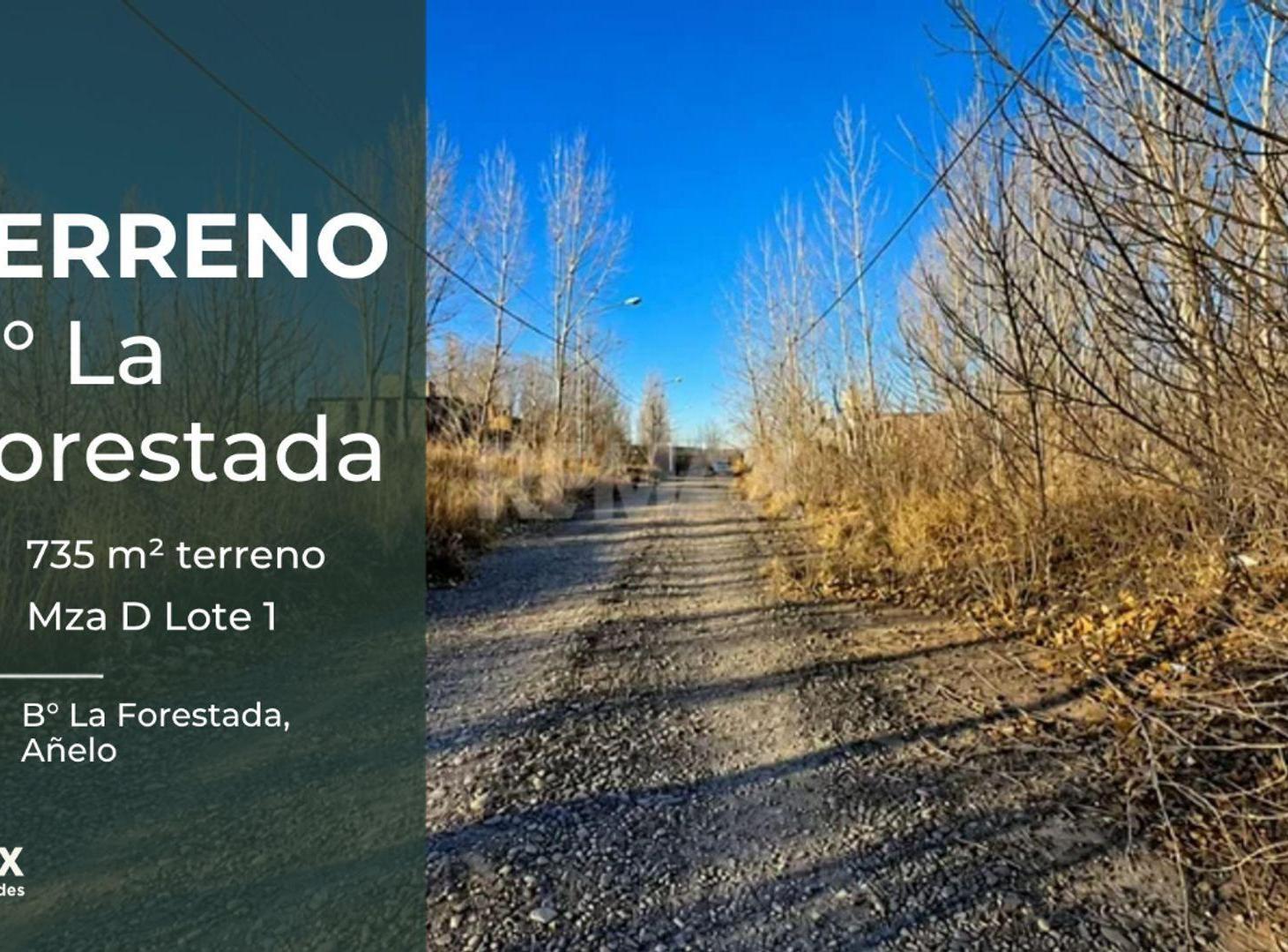 Foto de TERRENO EN VENTA, LA FORESTADA, AÑELO., imagen 3