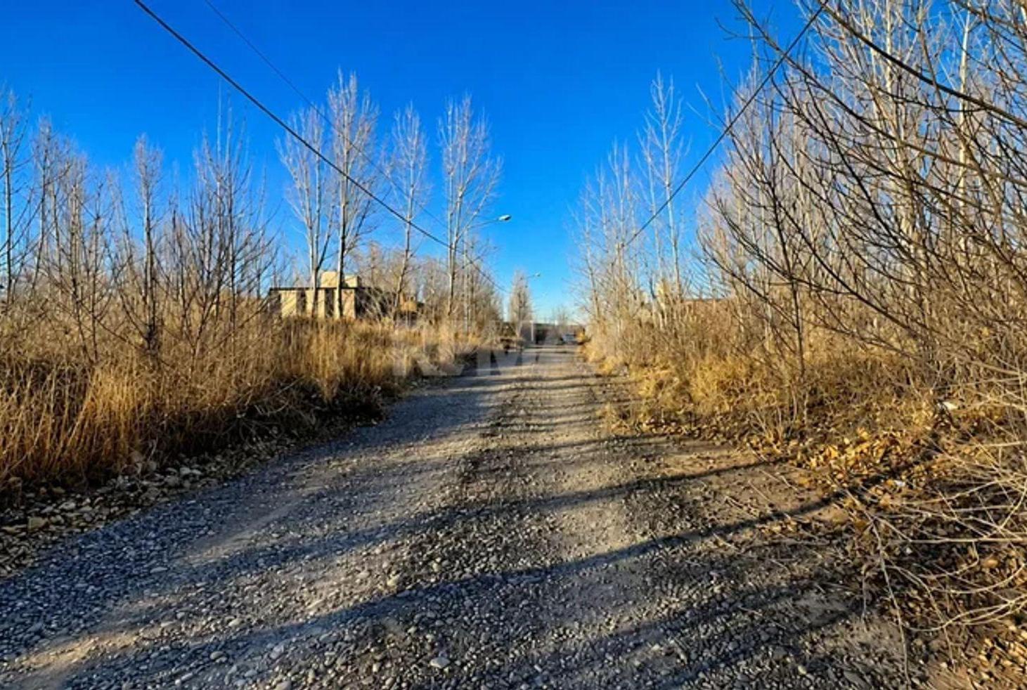 Foto de TERRENO EN VENTA, LA FORESTADA, AÑELO., imagen 1
