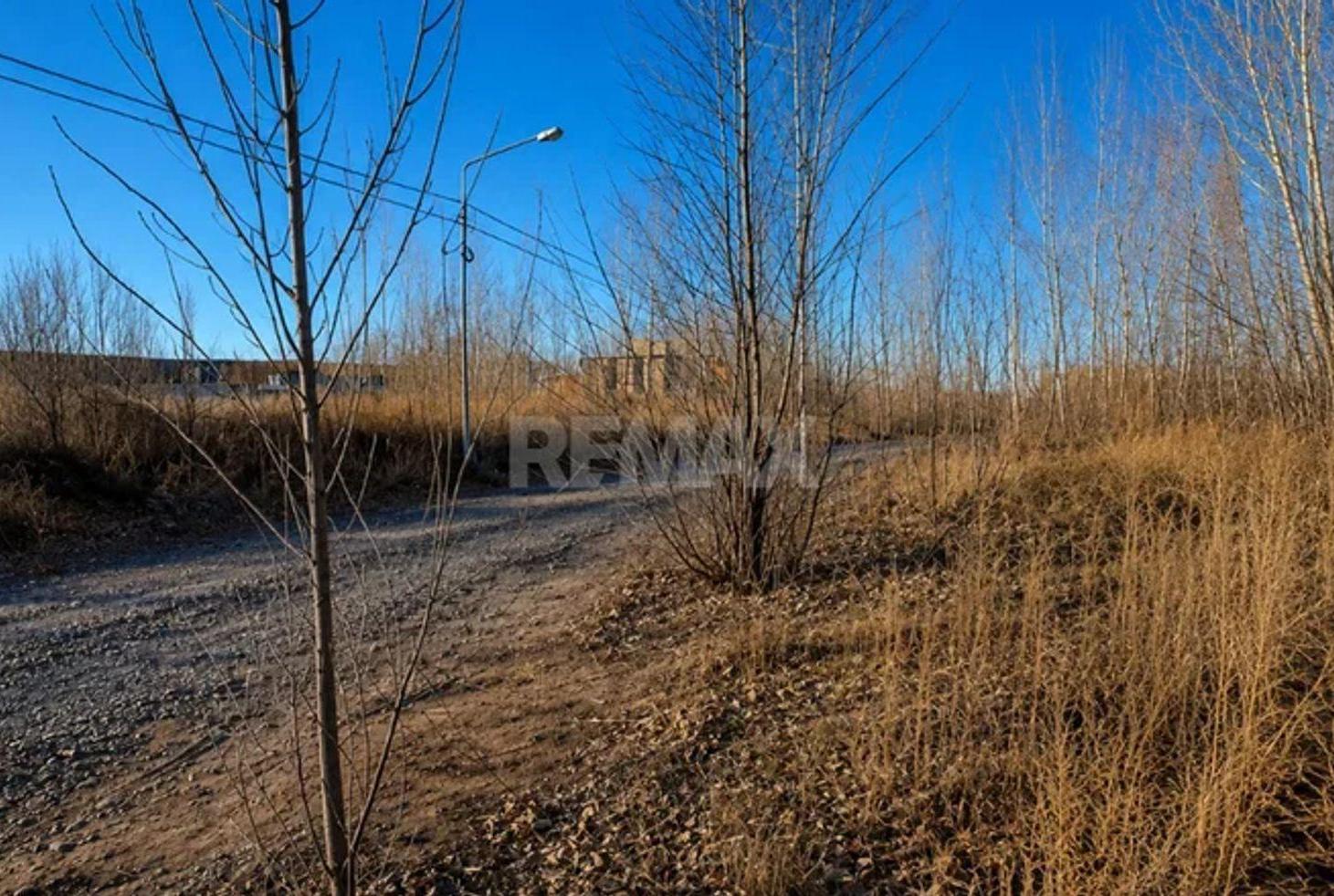 Foto de TERRENO EN VENTA, LA FORESTADA, AÑELO., imagen 2