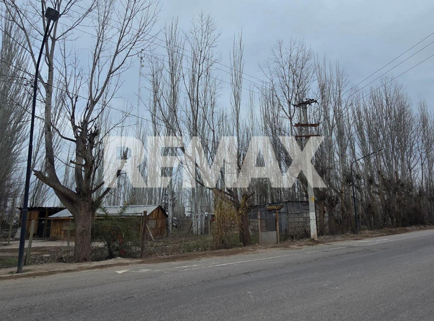 Foto de CHACRA 24.800 M2 EN CIRCUNVALACIÓN Y SAN LUIS, imagen 4